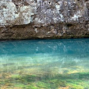 Meet your Posher, Priscilla